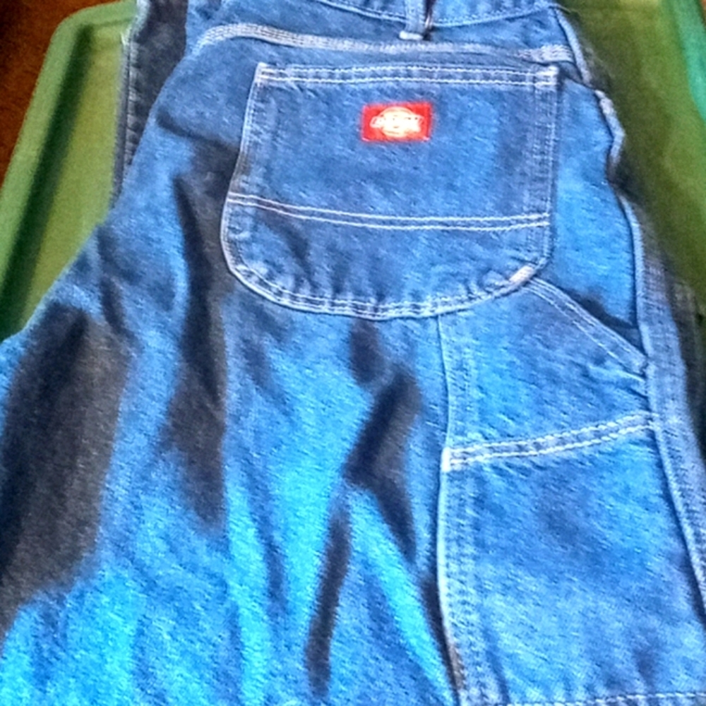 Mens work Dickies6